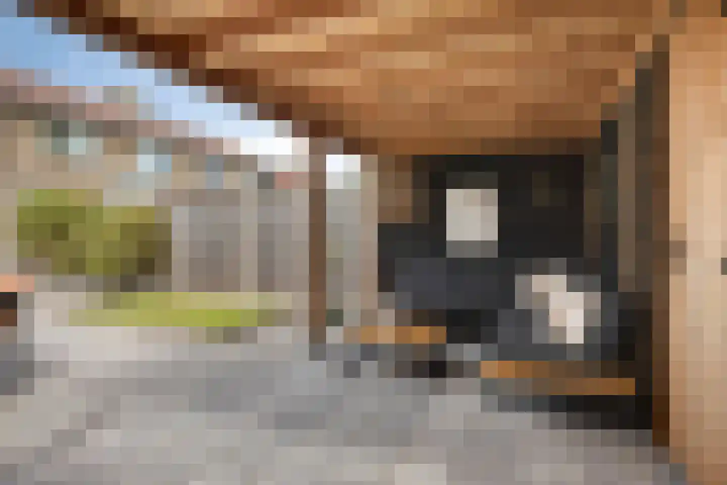 Molenkampsweg 52 Borne thumbnail 28