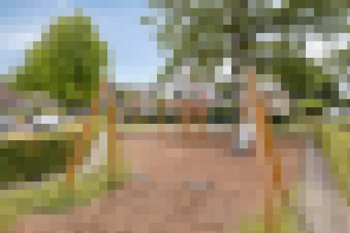 Molenkampsweg 52 Borne thumbnail 32