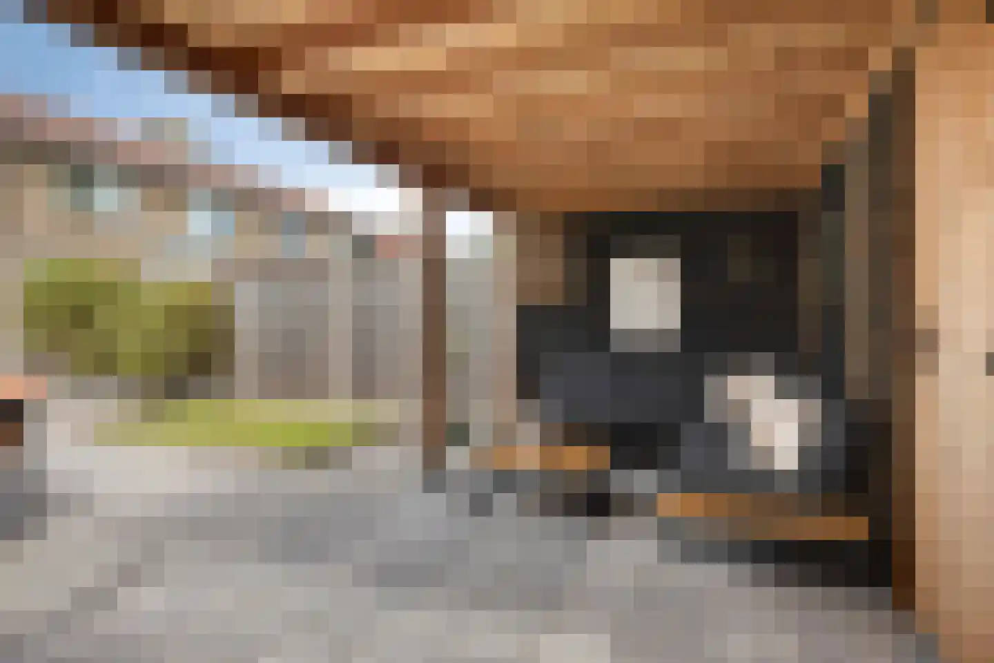 Molenkampsweg 52 Borne thumbnail 6