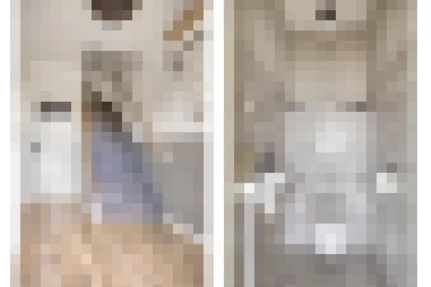 Molenkampsweg 52 Borne thumbnail 8