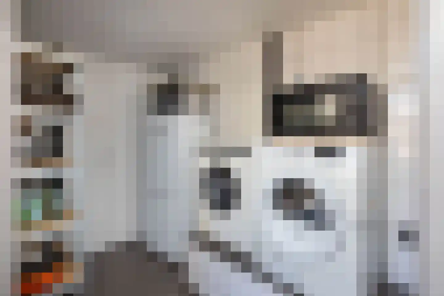 Molenkampsweg 60 Borne thumbnail 12
