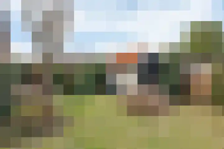 Molenkampsweg 77 Borne thumbnail 15