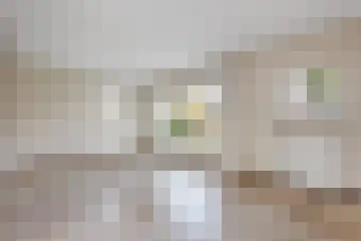Molenkampsweg 77 Borne thumbnail 4