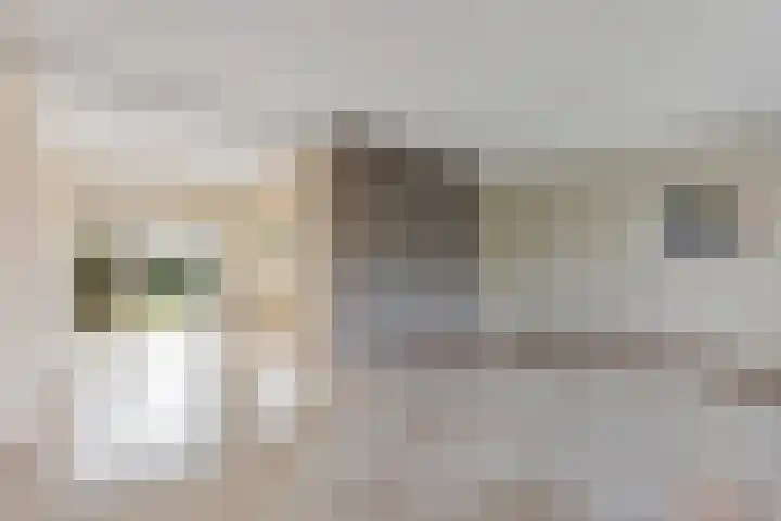Molenkampsweg 77 Borne thumbnail 6