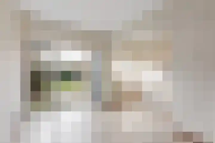 Molenkampsweg 77 Borne thumbnail 7