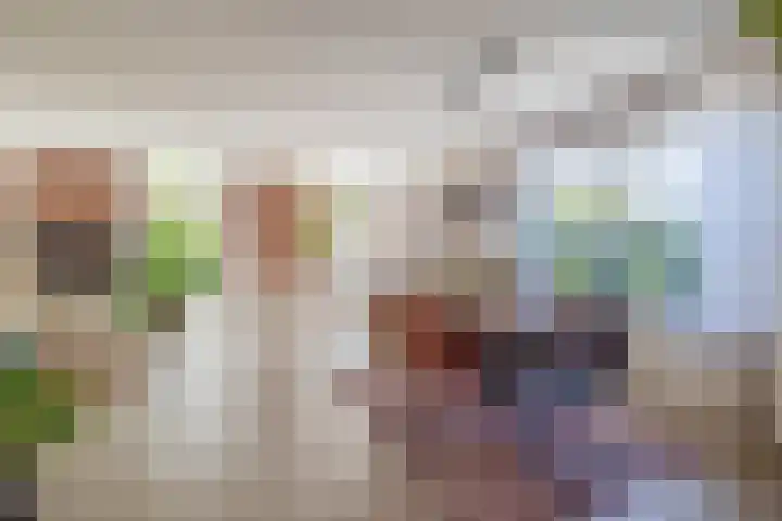 Molenkampweg 2 APP1 Havelte thumbnail 22
