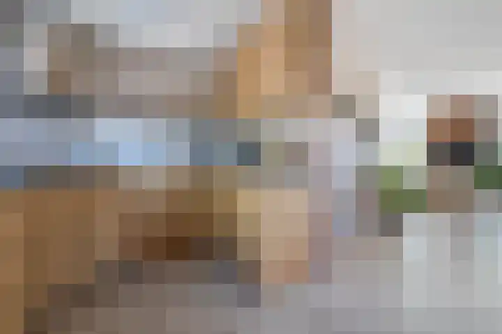 Molenkampweg 2 APP1 Havelte thumbnail 24