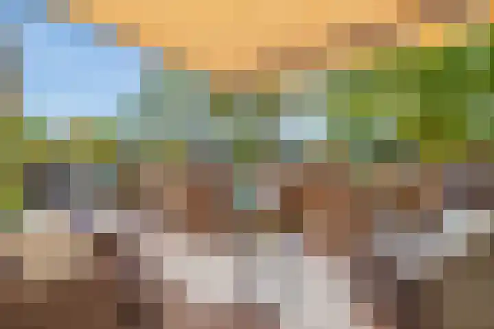 Molenkampweg 2 APP1 Havelte thumbnail 30
