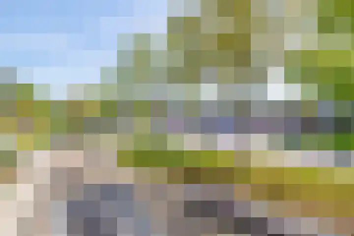 Molenkampweg 2 APP1 Havelte thumbnail 32