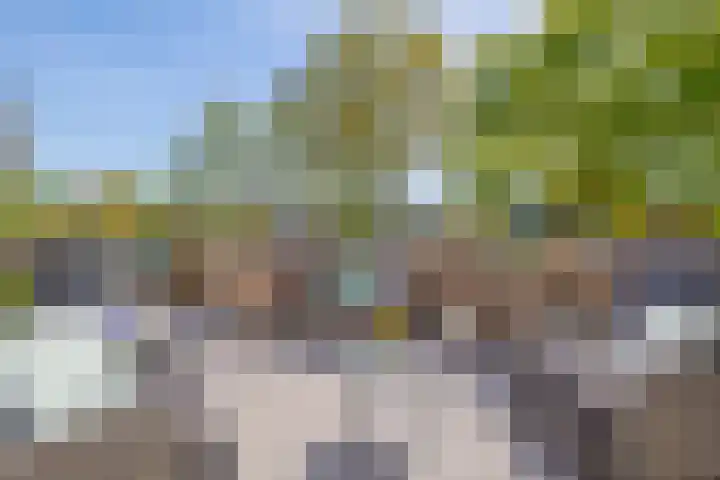 Molenkampweg 2 APP1 Havelte thumbnail 33
