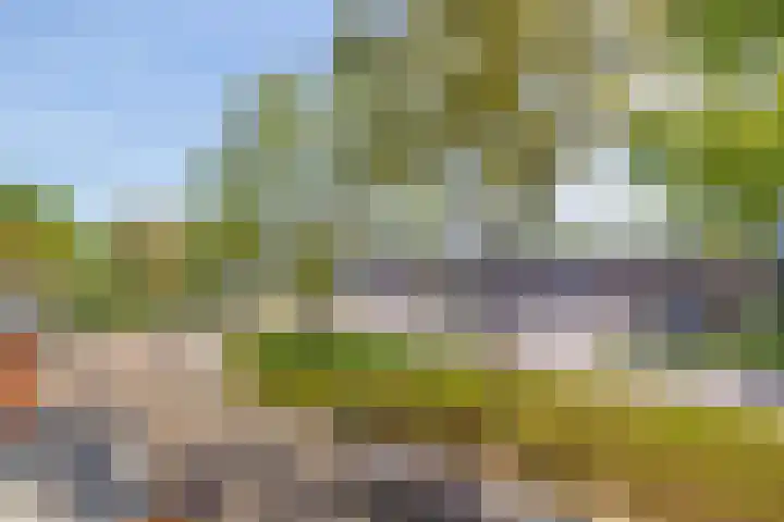 Molenkampweg 2 APP1 Havelte thumbnail 37
