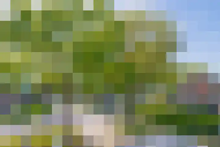 Molenkampweg 2 APP1 Havelte thumbnail 38