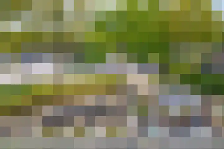 Molenkampweg 2 APP1 Havelte thumbnail 46
