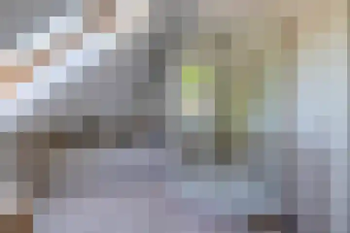 Molenkampweg 2 APP1 Havelte thumbnail 48