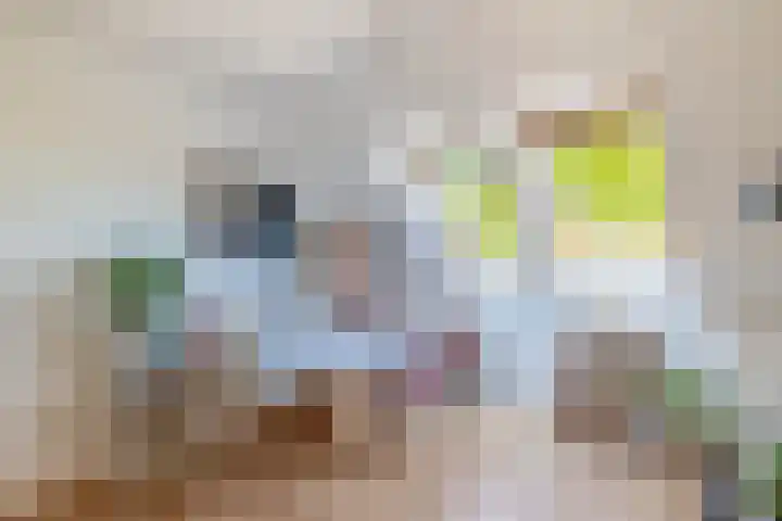 Molenkampweg 2 APP1 Havelte thumbnail 52