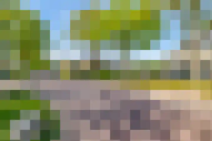 Molenkampweg 2 APP1 Havelte thumbnail 57