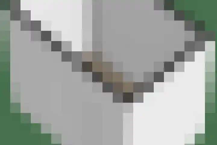 Molenkampweg 2 APP1 Havelte thumbnail 66