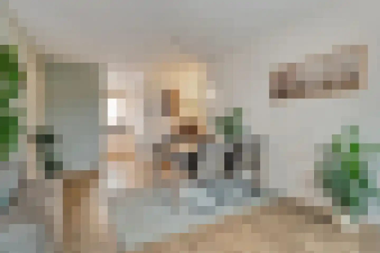 Molenkampweg 2 II Havelte thumbnail 4