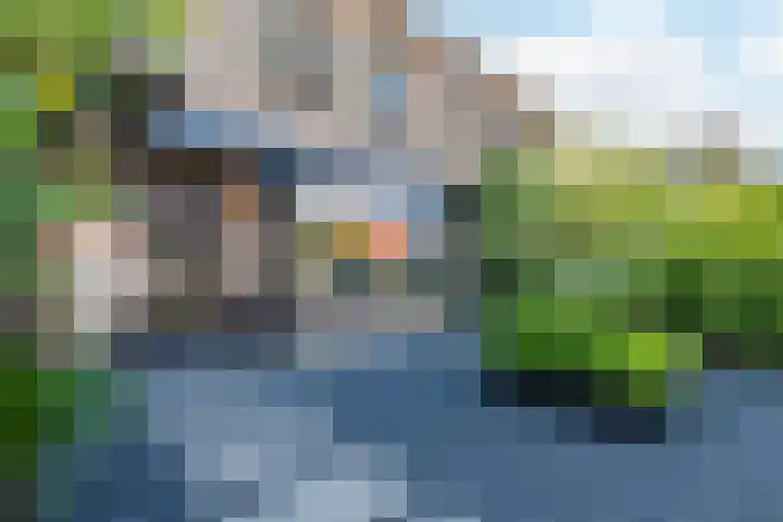 Molenkampweg 21 Heerde thumbnail 4
