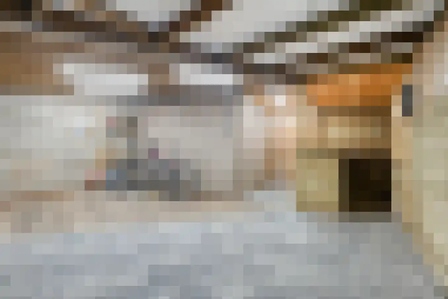Molenkampweg 31 Afferden L thumbnail 34