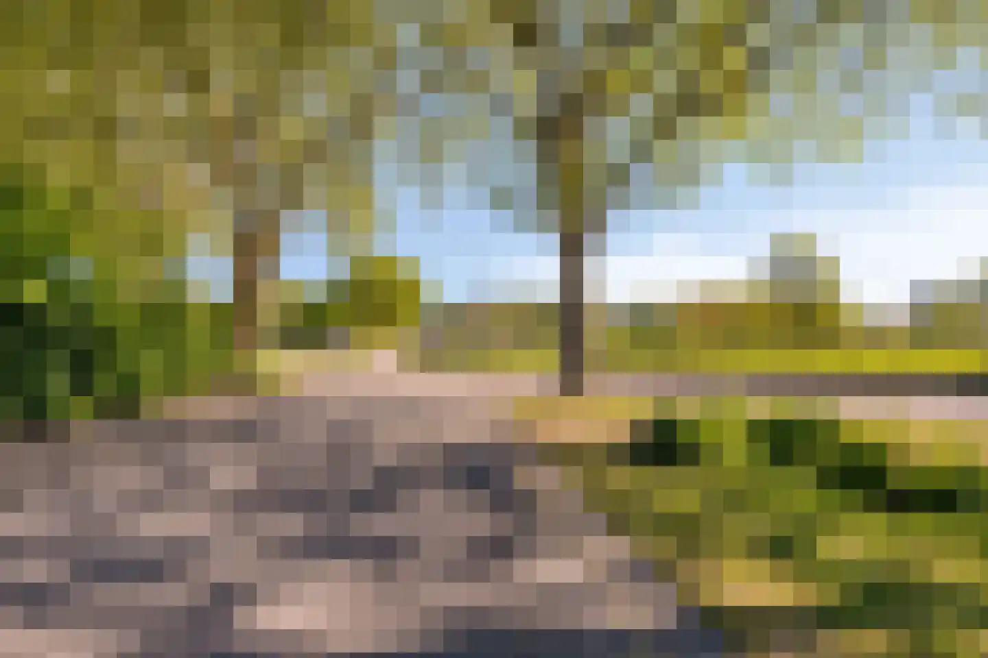 Molenkampweg 31 Afferden L thumbnail 40