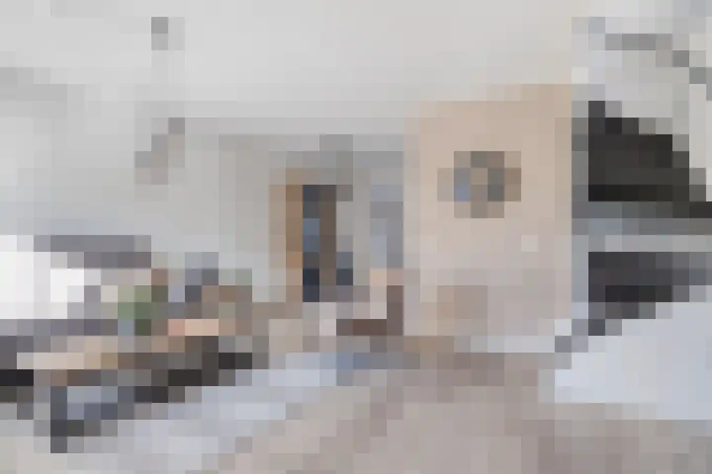 Molenkampweg 31 Afferden L thumbnail 8