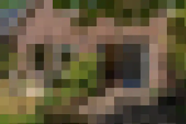 Molenkampweg 5 Vlagtwedde thumbnail 18