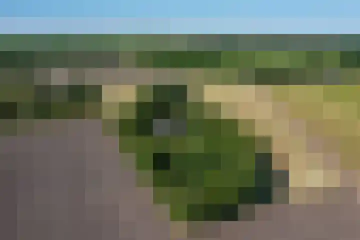 Molenkampweg 5 Vlagtwedde thumbnail 4