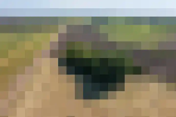 Molenkampweg 5 Vlagtwedde thumbnail 5
