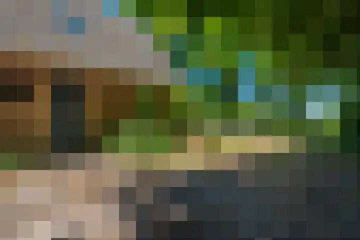 Molenkampweg 5 Vlagtwedde thumbnail 8