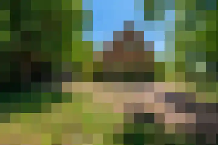 Molenkampweg 5 Vlagtwedde thumbnail 9