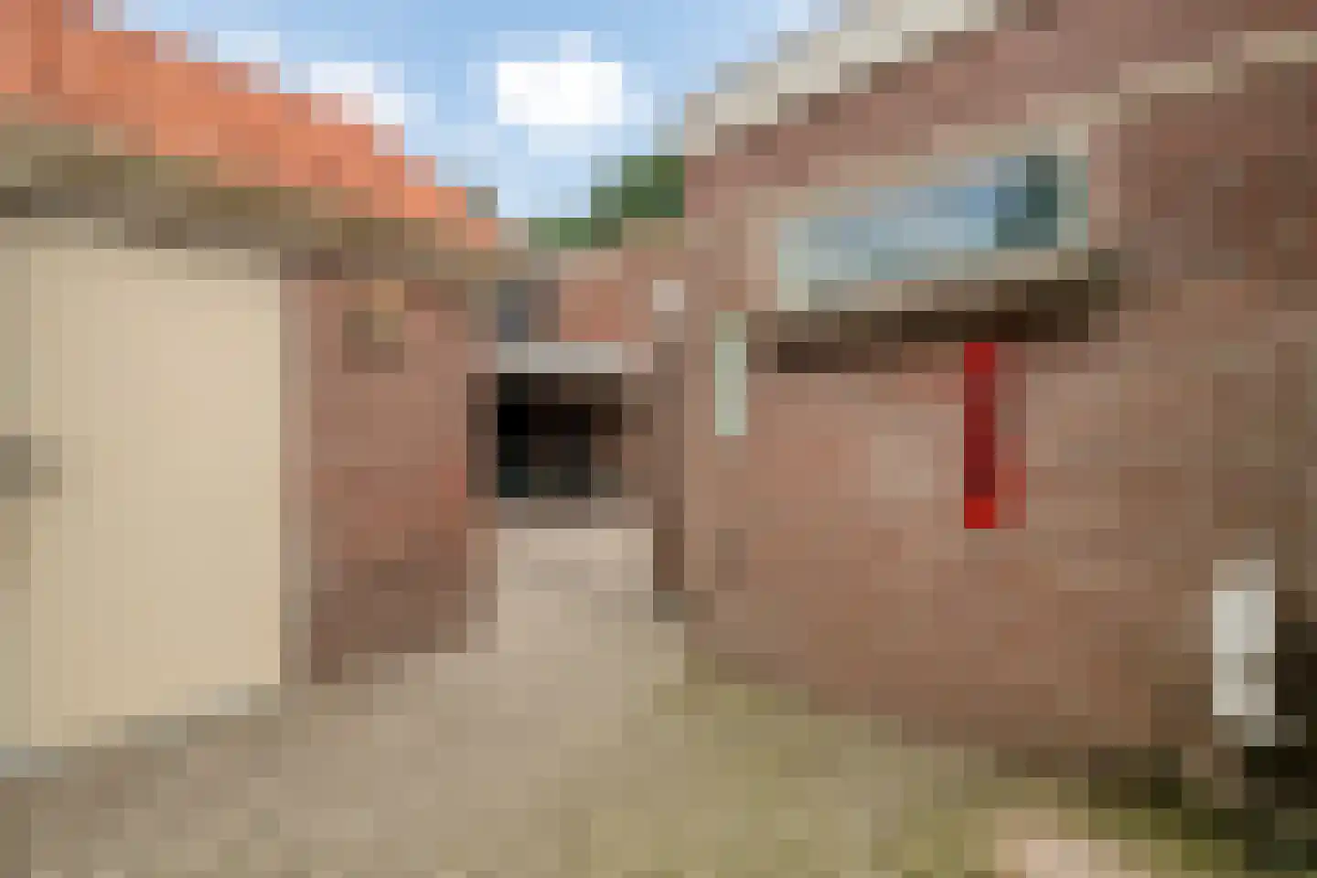 Molenkampweg 6 Heerde thumbnail 22