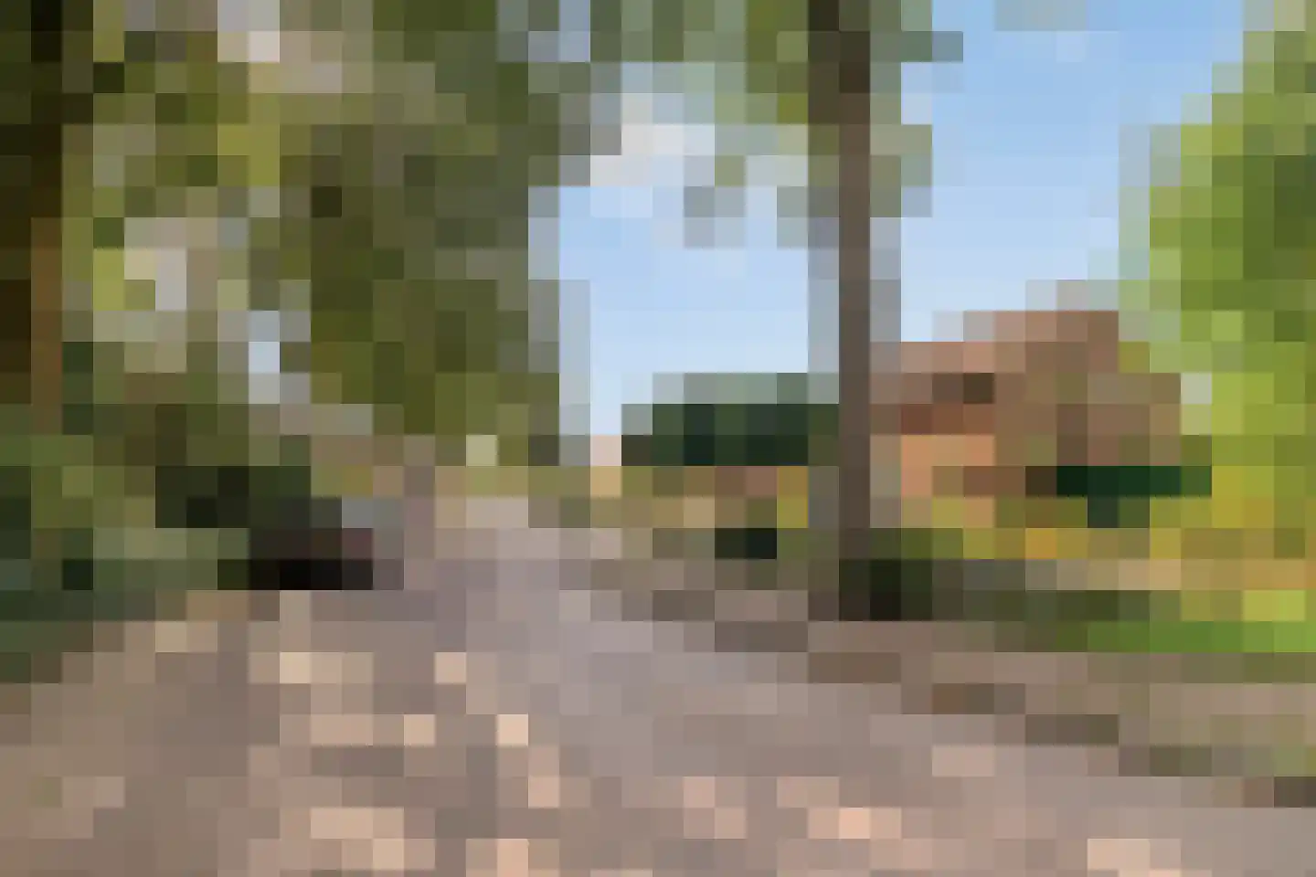 Molenkampweg 6 Heerde thumbnail 30
