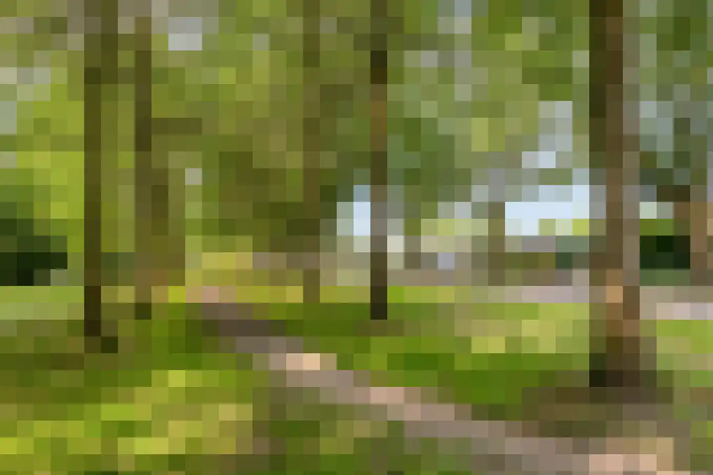 Molenkampweg 6 Heerde thumbnail 31