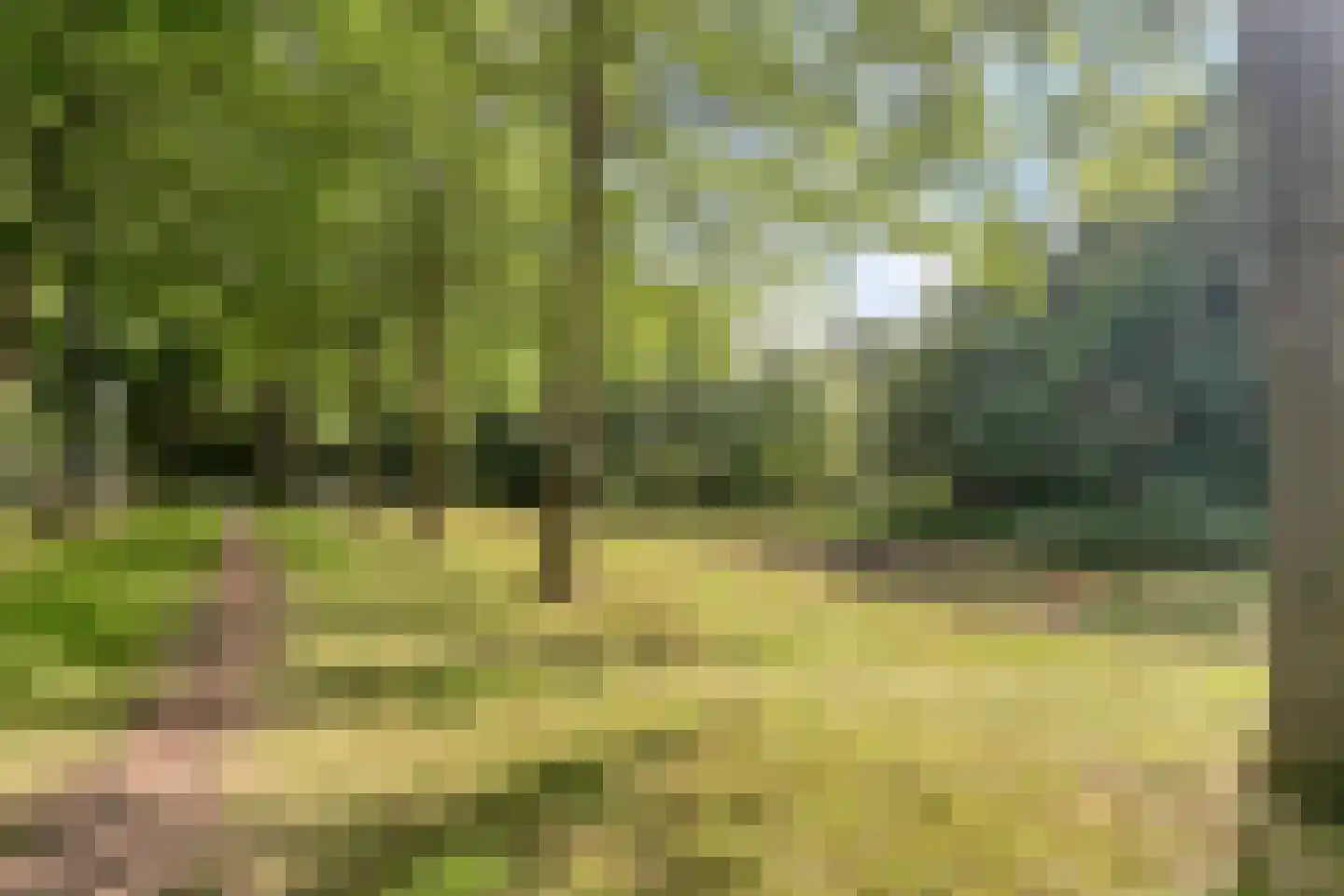 Molenkampweg 6 Heerde thumbnail 32