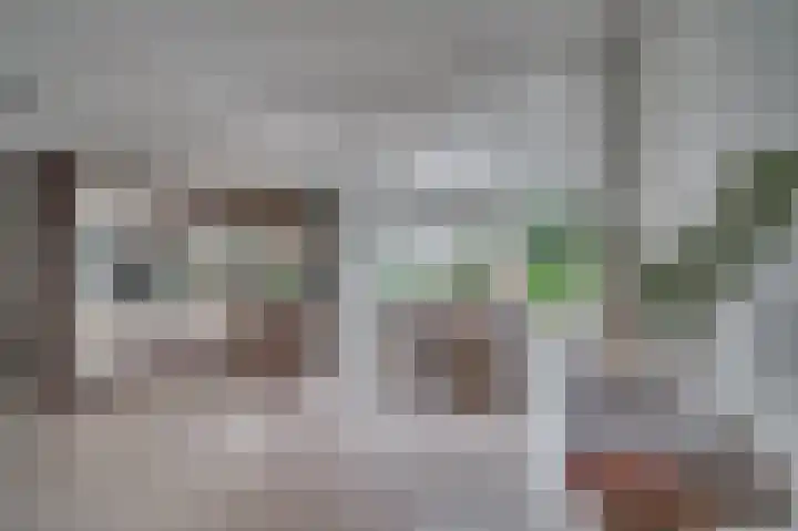 Molenkampweg 64 Venlo thumbnail 7