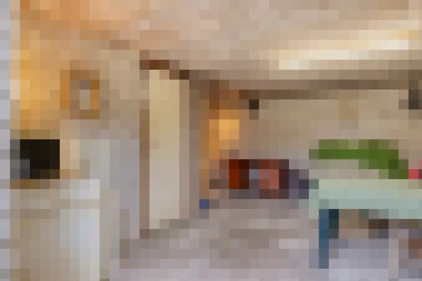 Molenklefweg 15 Venray thumbnail 28