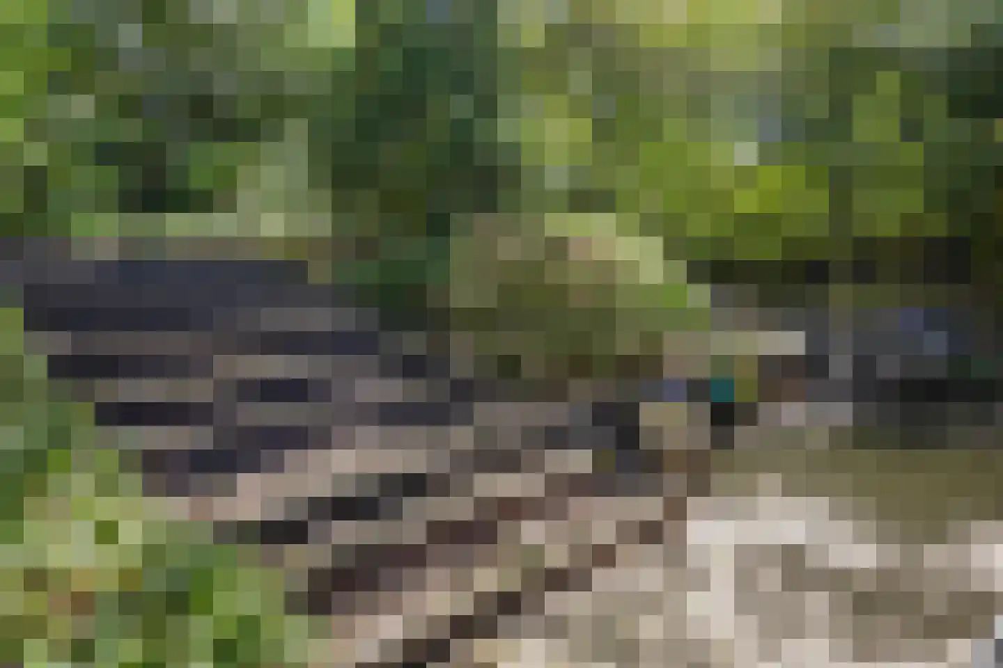 Molenklefweg 15 Venray thumbnail 30