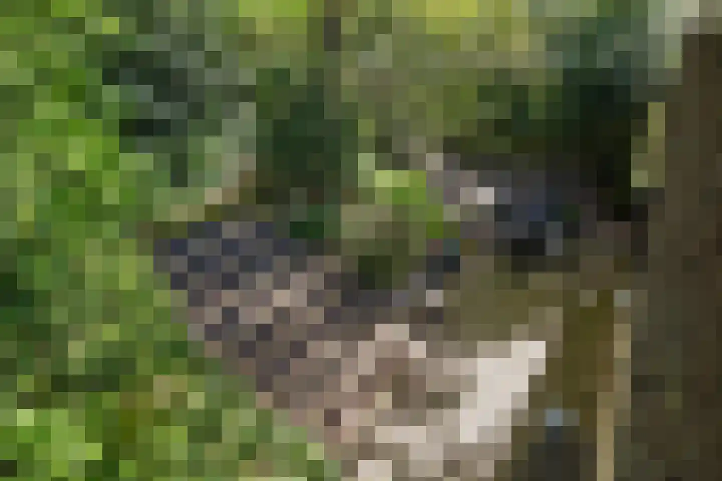 Molenklefweg 15 Venray thumbnail 31