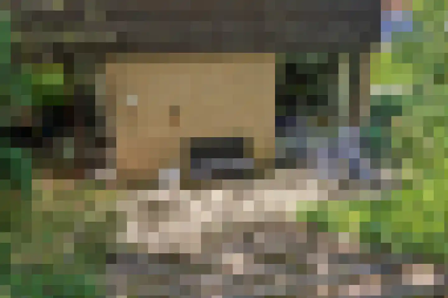 Molenklefweg 15 Venray thumbnail 32