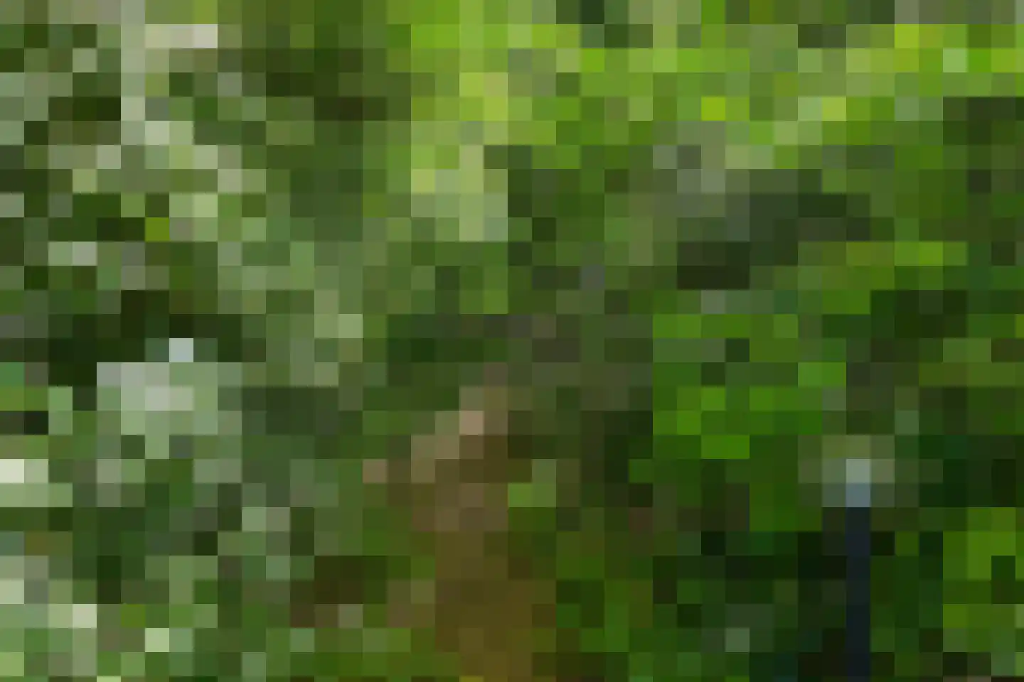 Molenklefweg 15 Venray thumbnail 33