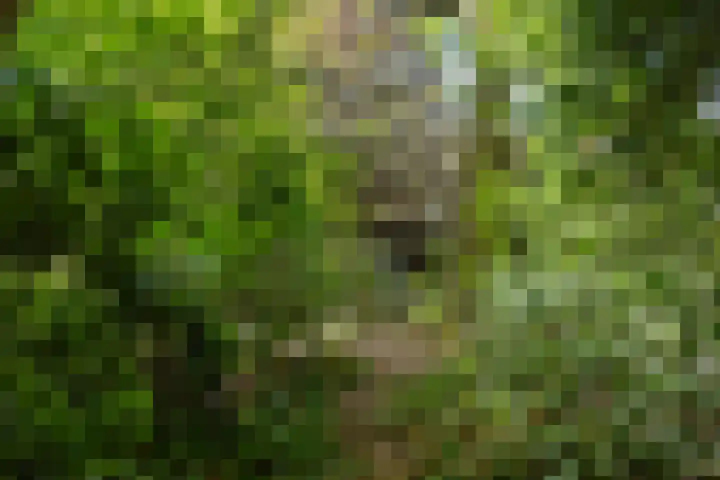 Molenklefweg 15 Venray thumbnail 34