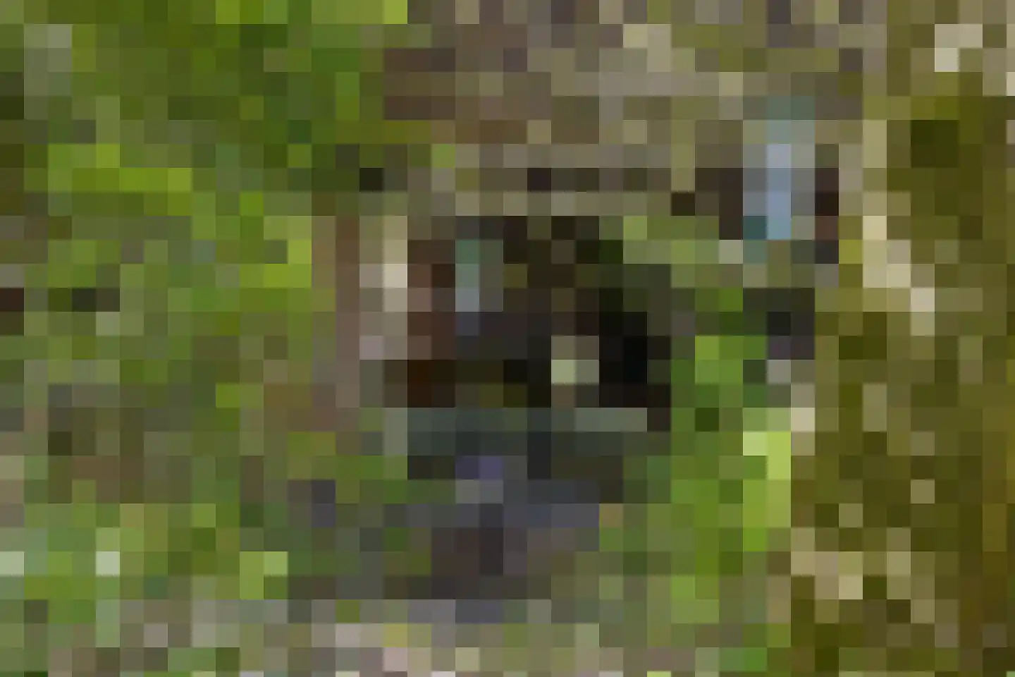 Molenklefweg 15 Venray thumbnail 35