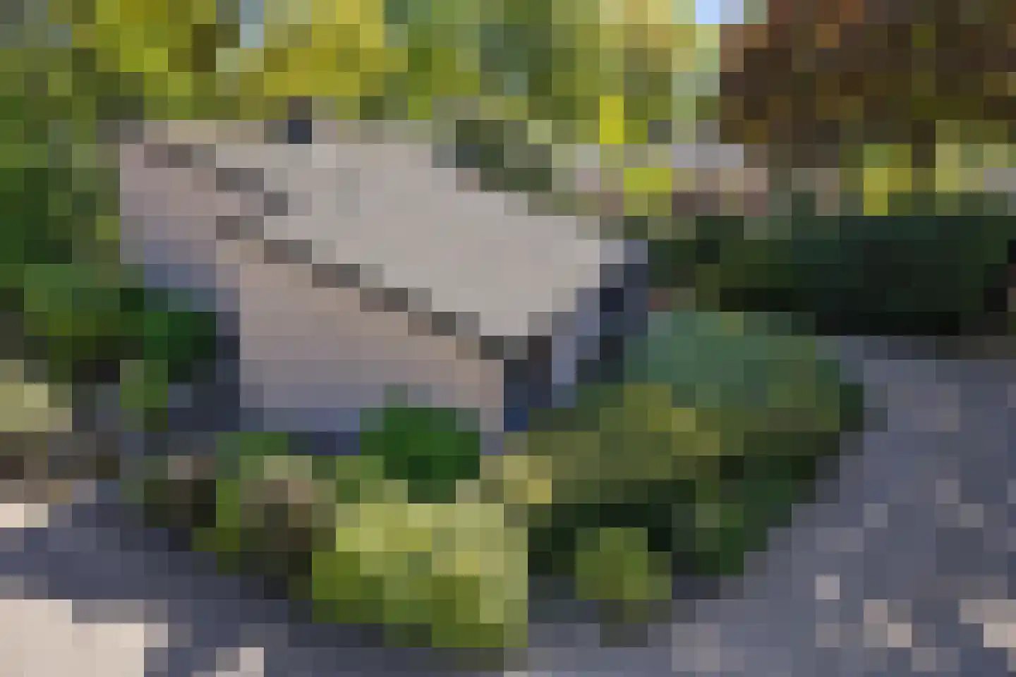 Molenklefweg 15 Venray thumbnail 37
