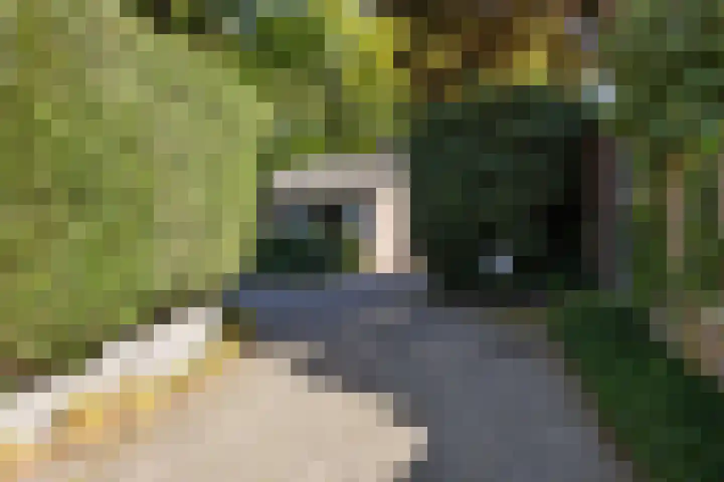 Molenklefweg 15 Venray thumbnail 38