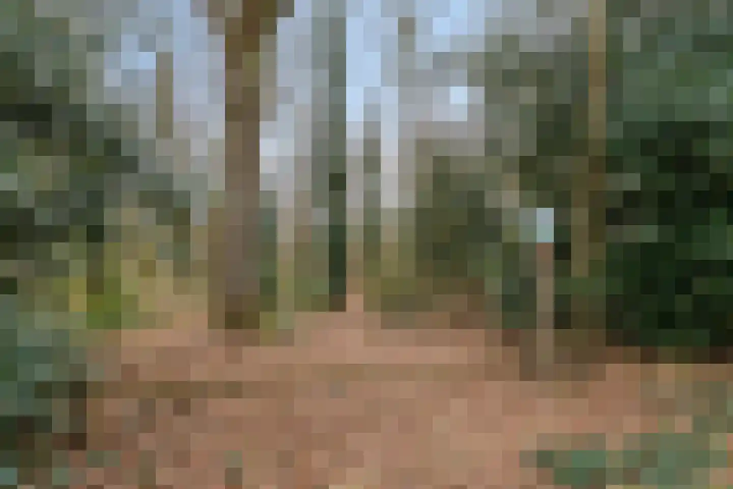 Molenklefweg 15 Venray thumbnail 41