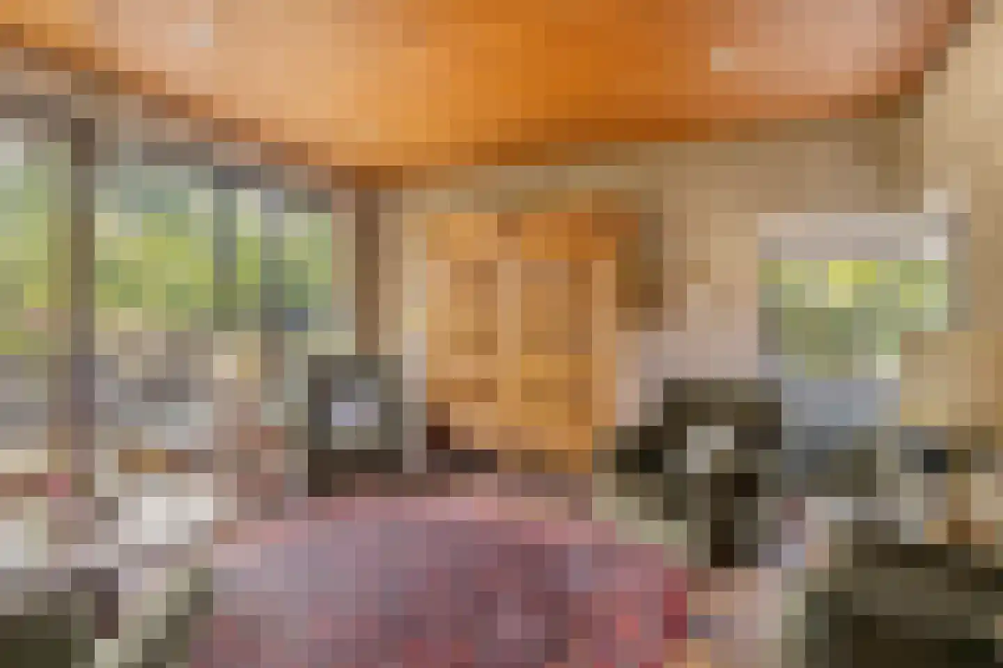 Molenklefweg 15 Venray thumbnail 8