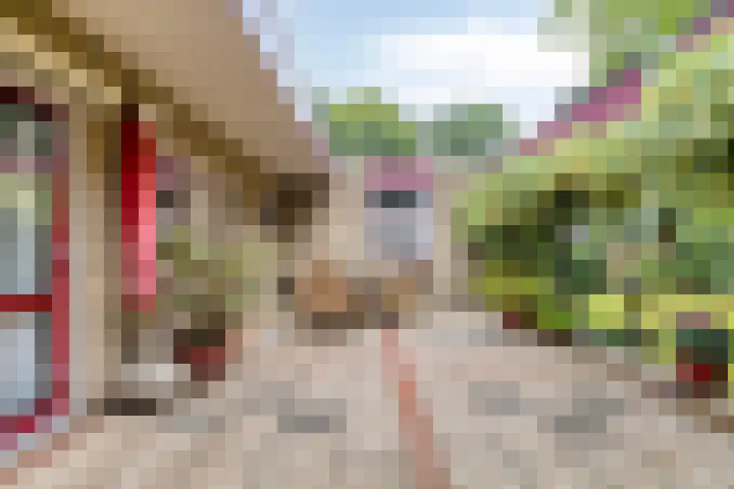 Molenklefweg 3 Venray thumbnail 24
