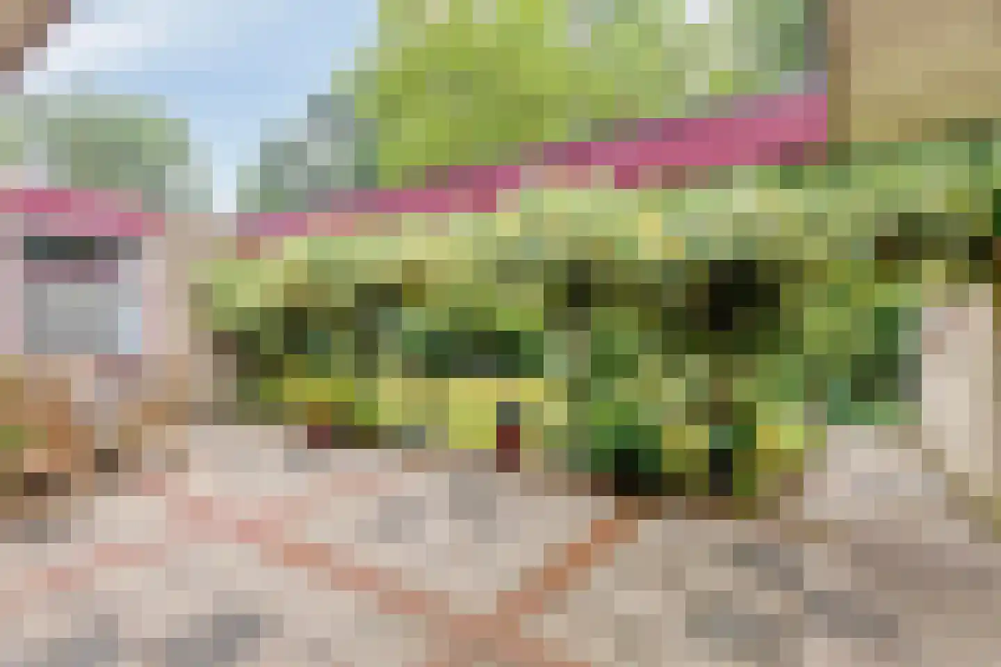 Molenklefweg 3 Venray thumbnail 25