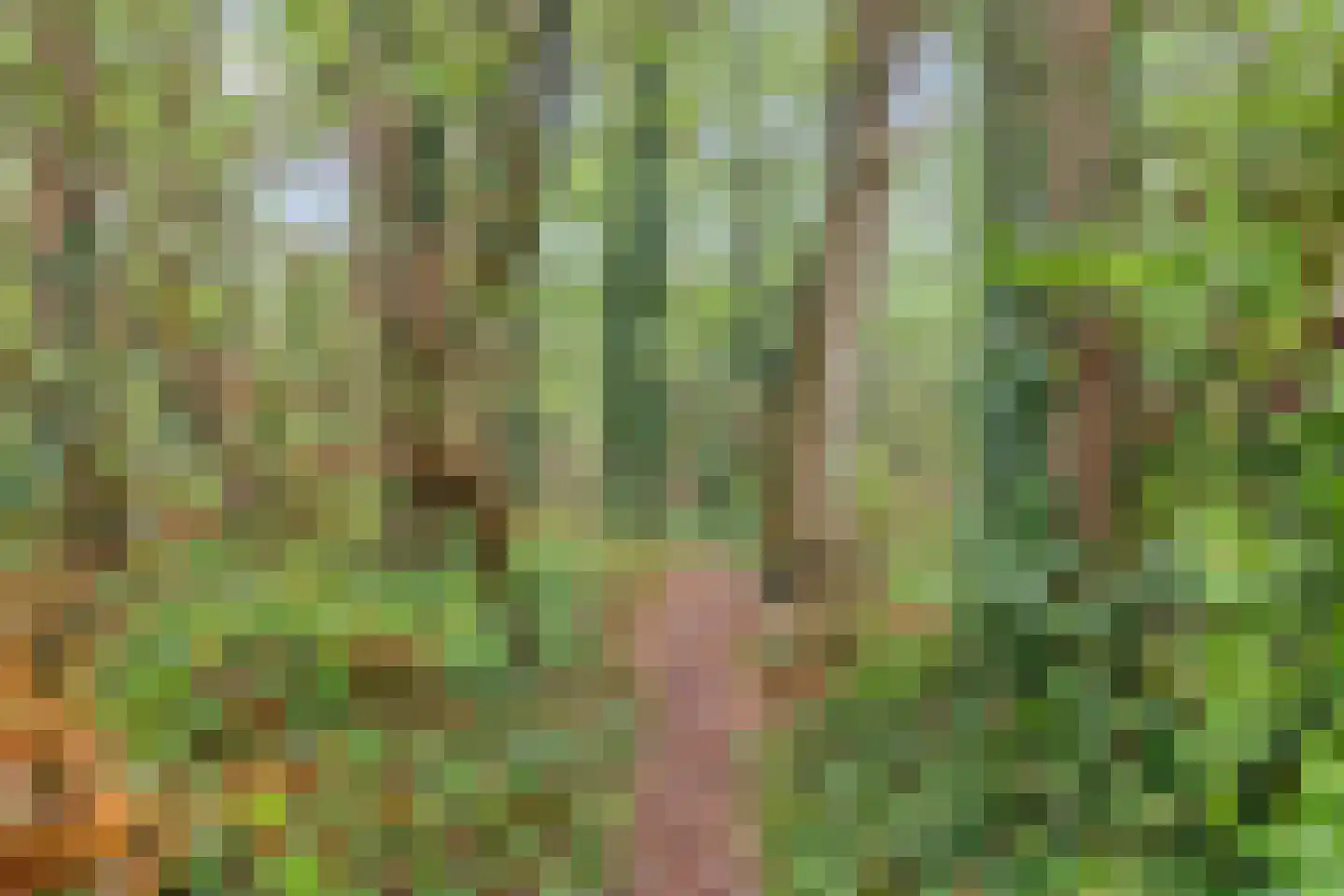 Molenklefweg 3 Venray thumbnail 33